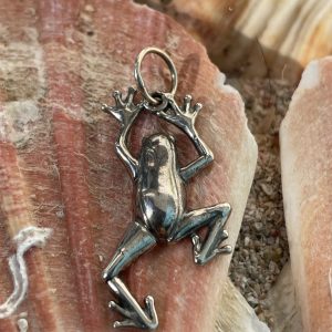 Amuleto Rana plata